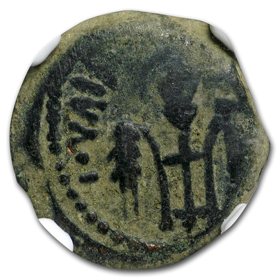Judaea Procurators Prutah (26-36 AD) Pontius Pilate Ch Fine NGC Judaea Procurators Prutah (26-36 AD) Pontius Pilate Ch Fine NGC